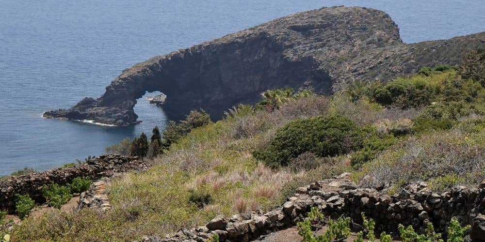 L'arco dell'elefante